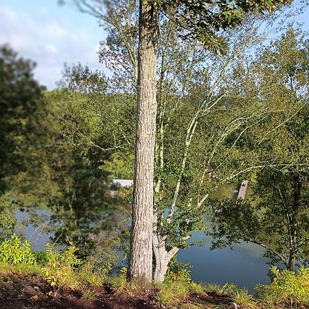 The Aries-A Stargazing, Luxury Glamping Tent Rogersville エクステリア 写真