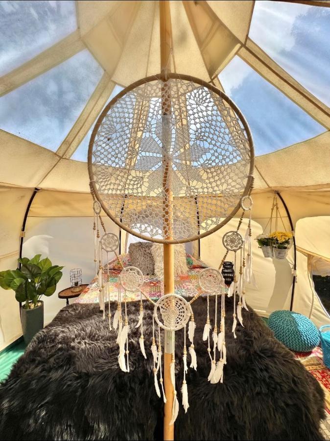 The Aries-A Stargazing, Luxury Glamping Tent Rogersville エクステリア 写真