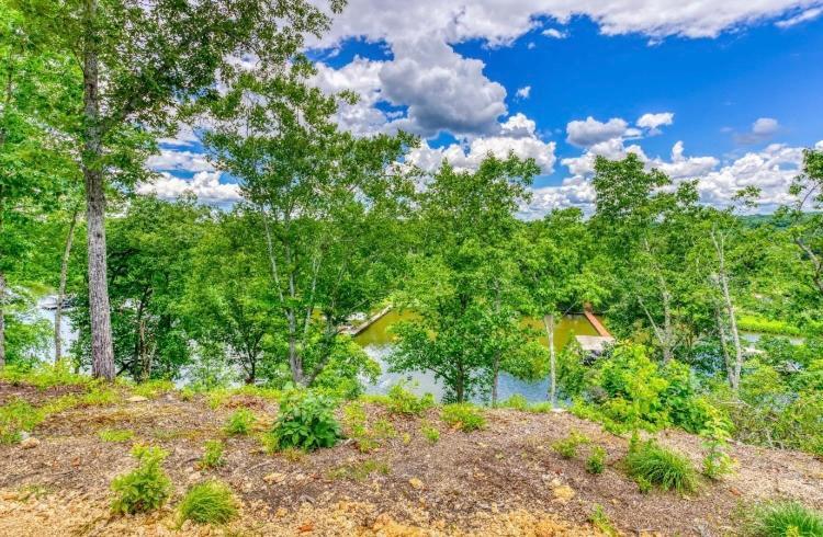 The Aries-A Stargazing, Luxury Glamping Tent Rogersville エクステリア 写真