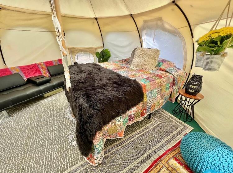 The Aries-A Stargazing, Luxury Glamping Tent Rogersville エクステリア 写真